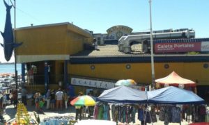 Excursión por la ciudad de Valparaiso